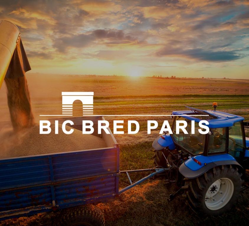 BIC BRED Paris