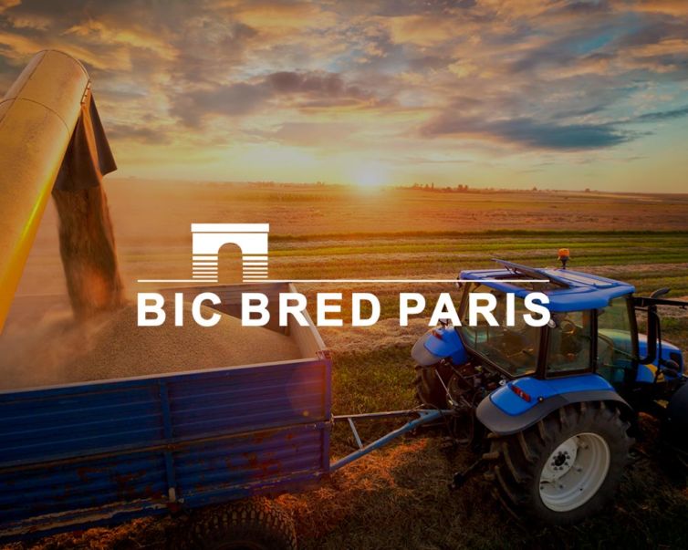 BIC BRED Paris