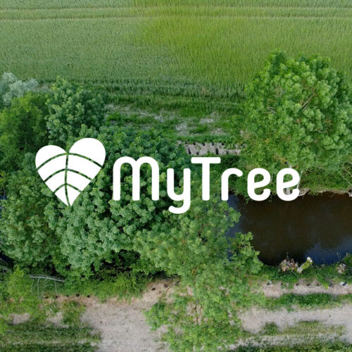 MyTree