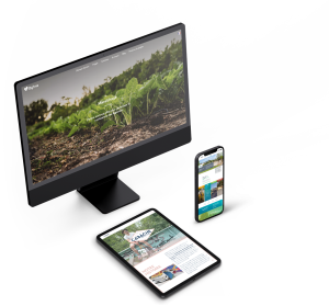 Brand design et communication digitale